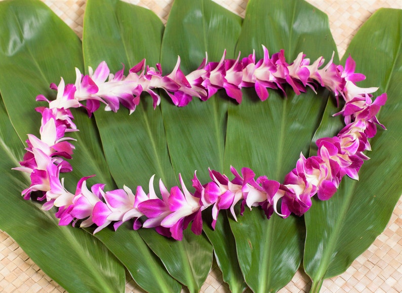 Hawaiian Lei Flower Lei Fresh Purple Orchid Lei. Fresh Lei Etsy