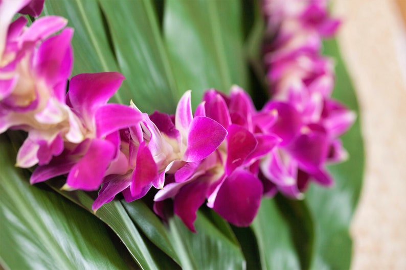 Hawaiian Lei Flower Lei Fresh Purple Orchid Lei. Fresh Lei Etsy