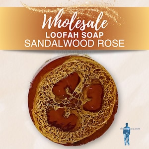 Wholesale Loofah Soap – 12 Bars Exfoliating Soap | Bulk Order for Resale | Handmade Loofah Bars, Perfect Stocking Stuffers