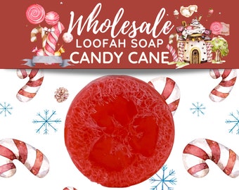 Candy Cane Loofah Bars Wholesale Set | Gifts for Her, Bridal Shower Favors, Baby Shower Favors, Gift Baskets, Personal Use, Soap Bar