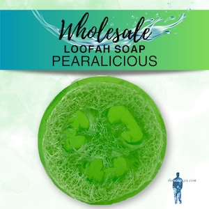Wholesale Loofah Soap – 12 Bars Exfoliating Soap | Bulk Order for Resale | Handmade Loofah Bars, Perfect Stocking Stuffers