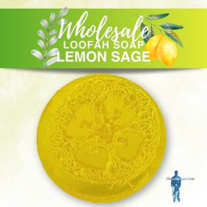 Wholesale Loofah Soap – 12 Bars Exfoliating Soap | Bulk Order for Resale | Handmade Loofah Bars, Perfect Stocking Stuffers