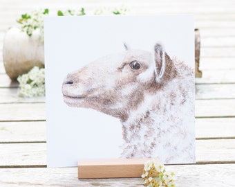 Card / Art Print / Greeting Card with sheep portrait on finest cotton paper Bright Days Birthday Postcard