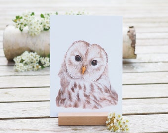 Card / Art Print / Greeting Card with beautiful owl on finest cotton paper recycling birds birding