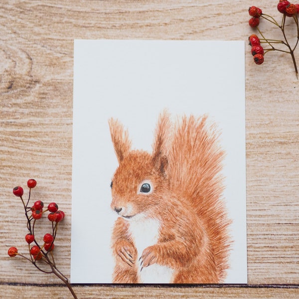 Karte / Kunstdruck / Grußkarte mit quirligem Eichhörnchen auf feinstem 300g Cotton-Papier Helle Tage Waldtiere Squirrel Wirbelwind