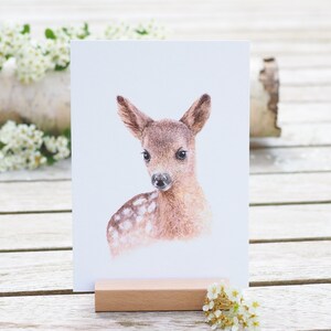 Karte / Kunstdruck / Grußkarte mit feinem Rehkitz auf weißem Natur-Papier  Reh Hirsch Waldtiere Helle Tage