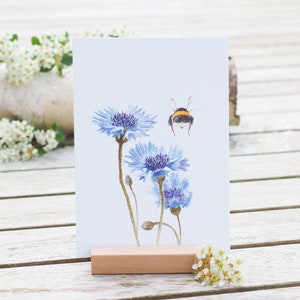 Karte / Kunstdruck /Grußkarte mit Kornblume und Hummel auf feinstem Cotton-Papier Schmuckkörbchen blau Biene
