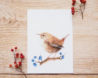 Karte / Kunstdruck /Grußkarte mit kleinem Zaunkönig auf feinstem Cotton-Papier Recycling Vögel Birding
