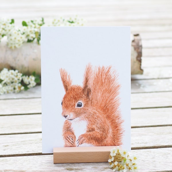 Karte / Kunstdruck / Grußkarte mit quirligem Eichhörnchen auf feinstem 300g Cotton-Papier Helle Tage Waldtiere Squirrel Wirbelwind