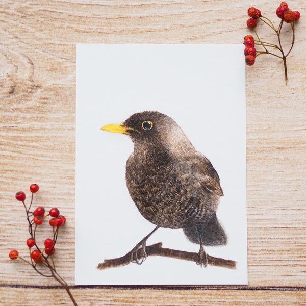 Karte / Kunstdruck / Grußkarte mit schönster Amsel auf feinstem Cotton-Papier Helle Tage Geburtstag  Postkarte