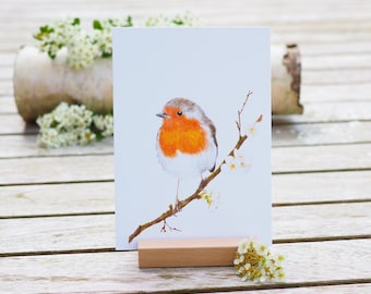 Card / Art Print / Greeting Card with Robin in Spring on Finest Cotton Paper Bright Days Birthday Robin Postcard