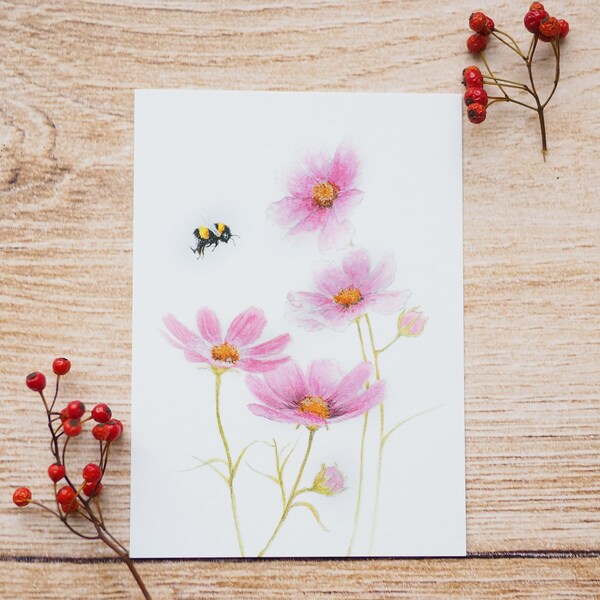 Karte / Kunstdruck /Grußkarte mit Cosmea Blume und Hummel auf feinstem Cotton-Papier Schmuckkörbchen rosa Biene