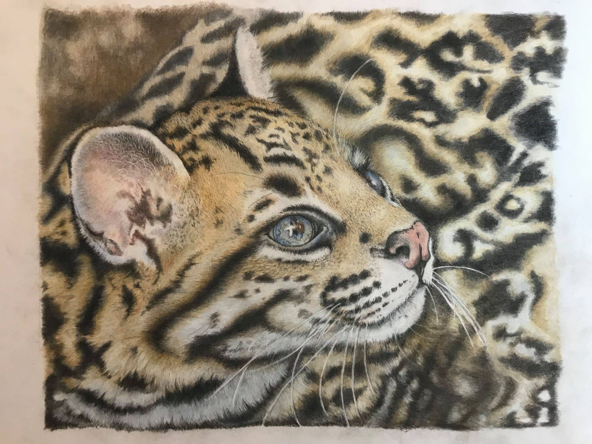 Artwork, Ocelot, Original - Etsy