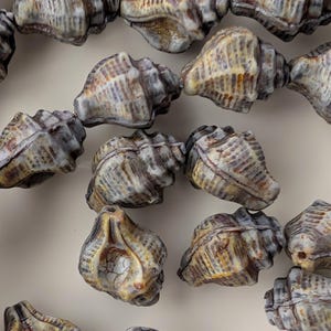 May include: Strands of seashell beads in shades of gray, brown, and yellow. The beads are shaped like conch shells, with detailed ridges and textures. The beads are strung together, creating a natural and organic look. Ideal for jewelry making.