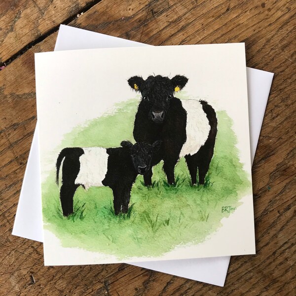 Belted Galloway card