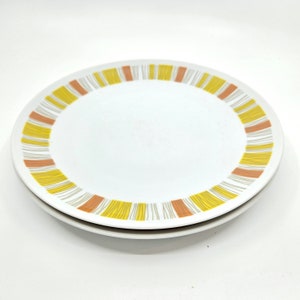 Pair of Mikasa Elite "Fantasy" Dinner Plates