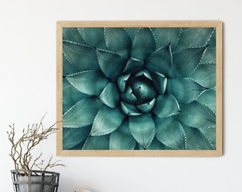 Sukulenty wydruk cyfrowy, kaktus do pobrania zdjęcie, cyfrowa sztuka ścienna, sztuka dla miłośników roślin, pobieranie cyfrowe, sztuka natury, dekoracja ścienna boho, zielony