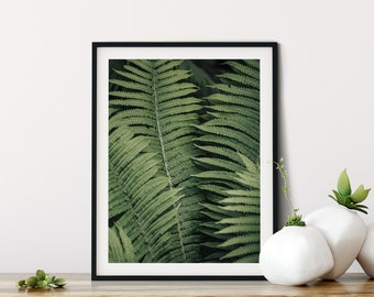 Fern Digitaldruck, herunterladbare Kunstdruck, greenery Foto, digitale Wandkunst, botanische Druck, grüne Blätter, Instant Download, tropische Kunst