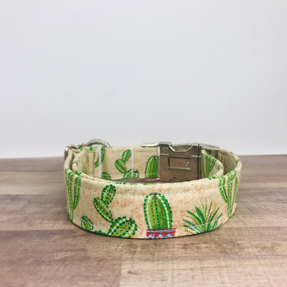 succulent dog collar