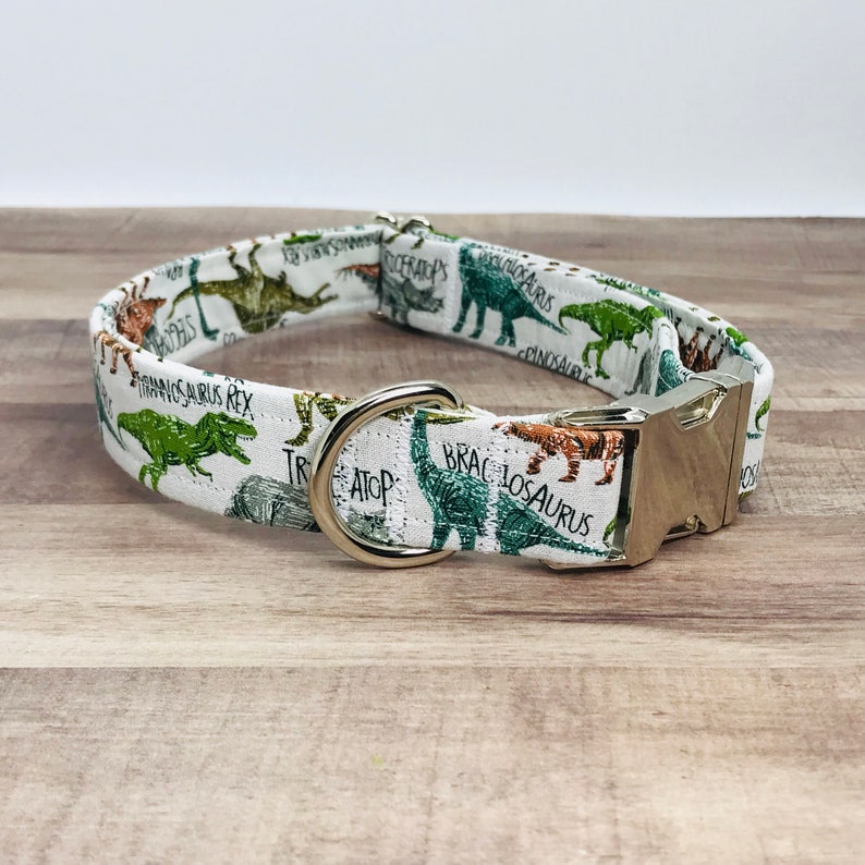 Dinosaur Dog Collar Boy Dog Collar Tyrannosaurus Rex Dog Etsy