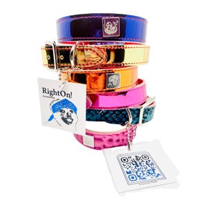 May include: Stack of five colorful dog collars, each with a silver buckle and a small silver charm. The collars are in shades of blue, gold, orange, pink, and teal. The collars are stacked on top of each other, with the blue collar on top and the teal collar on the bottom. A white tag with the text "RightOn! Accessories" and a cartoon dog wearing a bandana is in front of the collars. A white tag with a QR code and the text "American Made" is in the bottom right corner of the image.