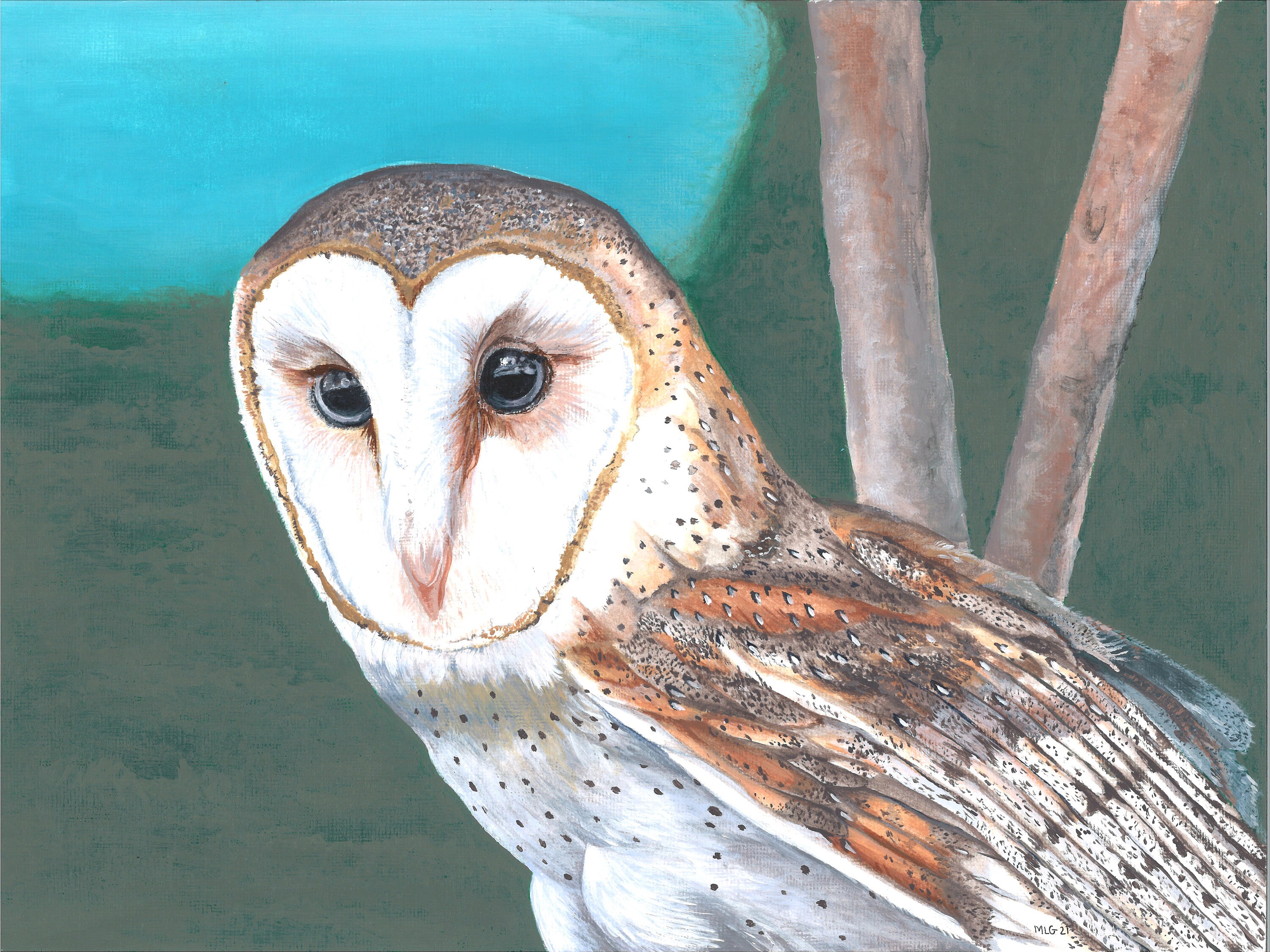 Barn Owl - Original Painting