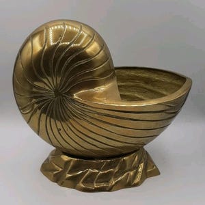May include: A brass nautilus shell-shaped bowl. The bowl features a spiral design on the top and a leaf-like base. The interior of the bowl is smooth, and the exterior has a textured finish. It is a decorative item.