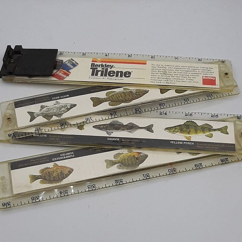 Fish Ruler Svg - Etsy