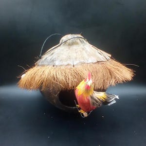 Vintage Natural Outdoor Coconut Hanging Bird House Handmade Tiki Like New