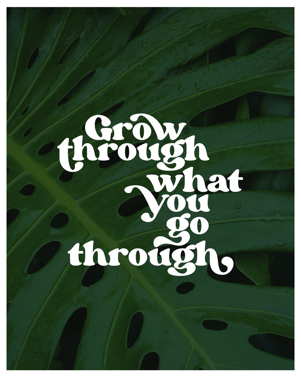 Grow Through What You Go Through Digital Print Typography Print Plant