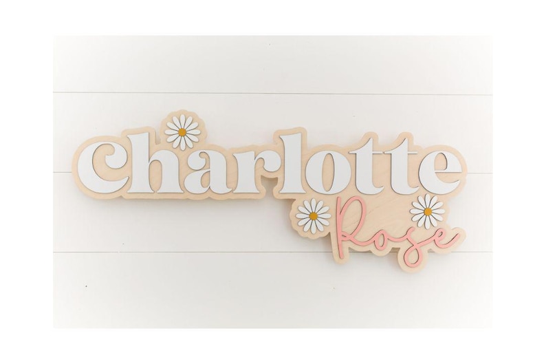May include: A wooden sign with the name "Charlotte Rose" in white and pink lettering. The sign is decorated with white daisies.