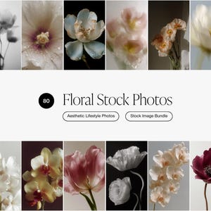 May include: A collection of floral stock photos featuring various flowers in different colors and styles. The image includes close-up shots of flowers with water droplets, and a variety of floral arrangements. The text on the image reads "Floral Stock Photos".