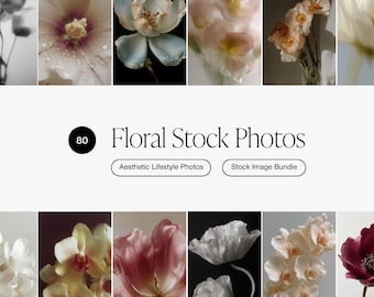 80 fotos de archivo florales editoriales / Paquete de imágenes de marca femeninas (PNG, JPEG)