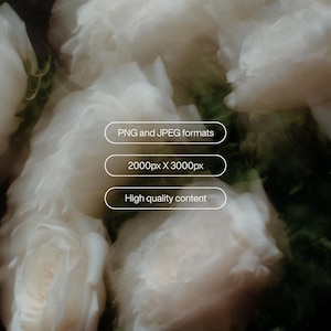 May include: A soft-focus image of white flowers, possibly roses, with a blurred background. The image includes text that reads "PNG and JPEG formats", "2000px X 3000px", and "High quality content".