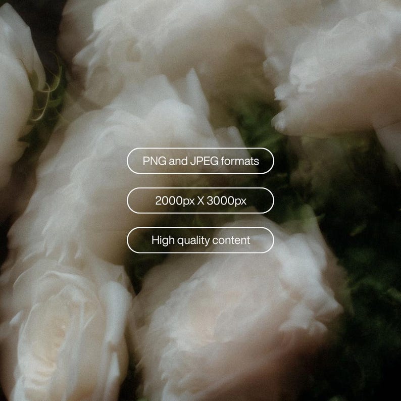 May include: A soft-focus image of white flowers, possibly roses, with a blurred background. The image includes text that reads "PNG and JPEG formats", "2000px X 3000px", and "High quality content".