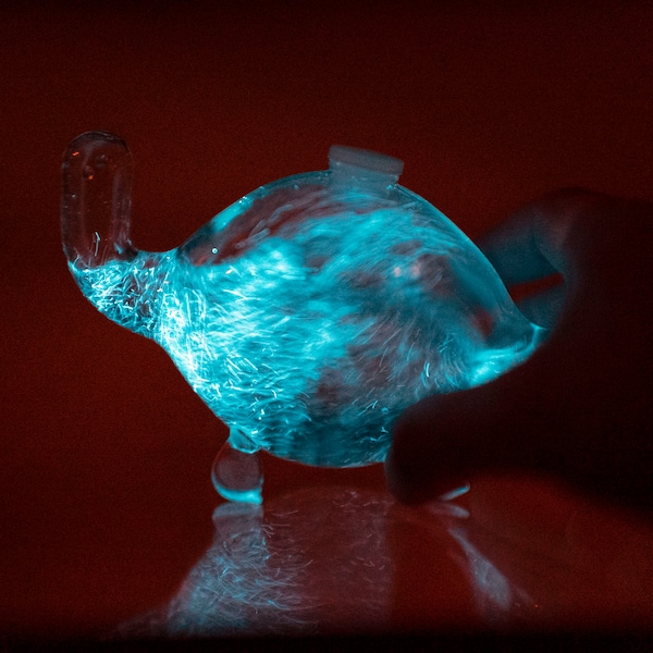 Bioluminescent Turtle: Hand-Blown Glass with PyroDinos