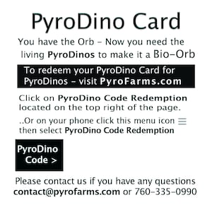 PyroDino Redemption Card back