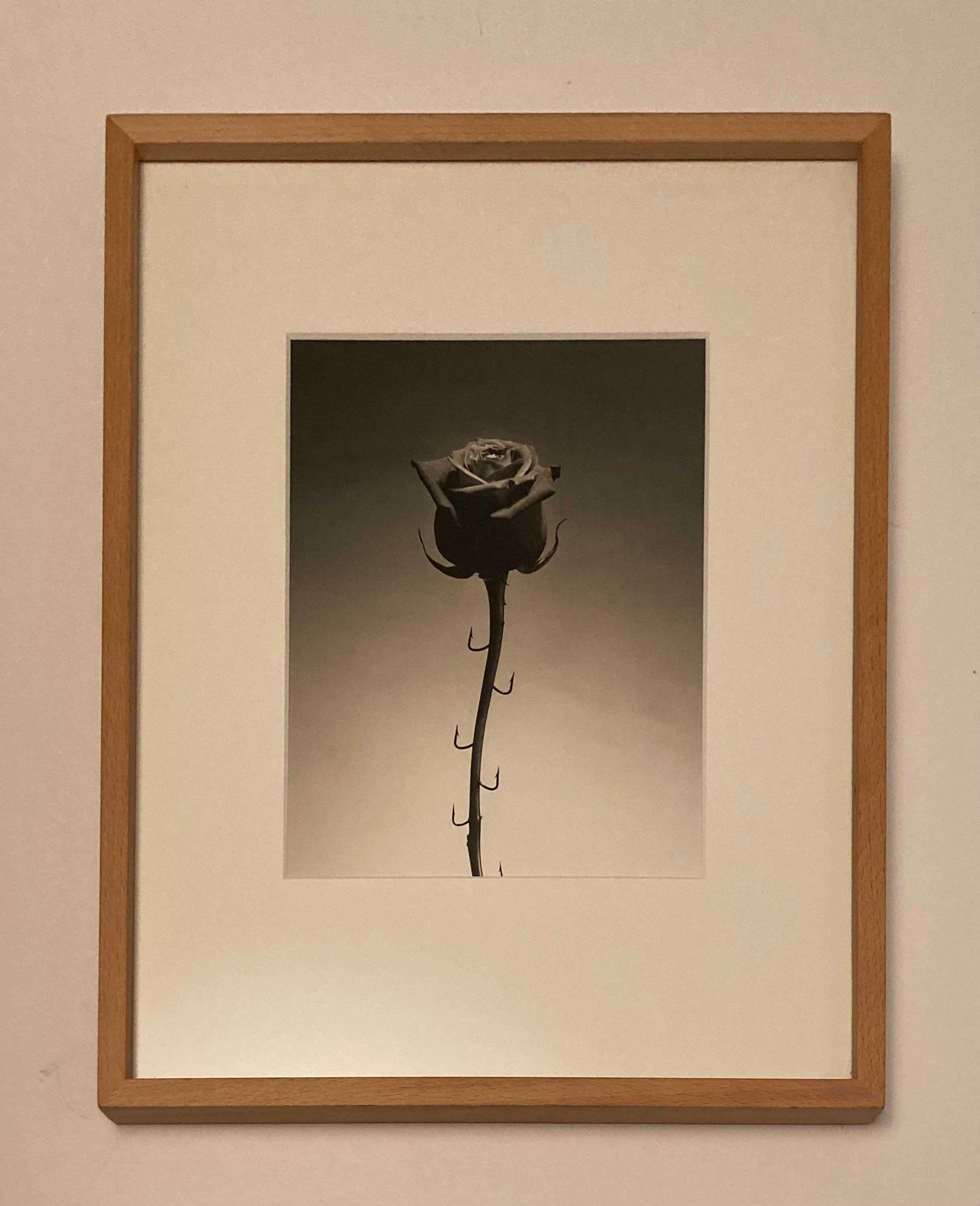 CHEMA MADOZ - Spanish Surrealist Photographer 