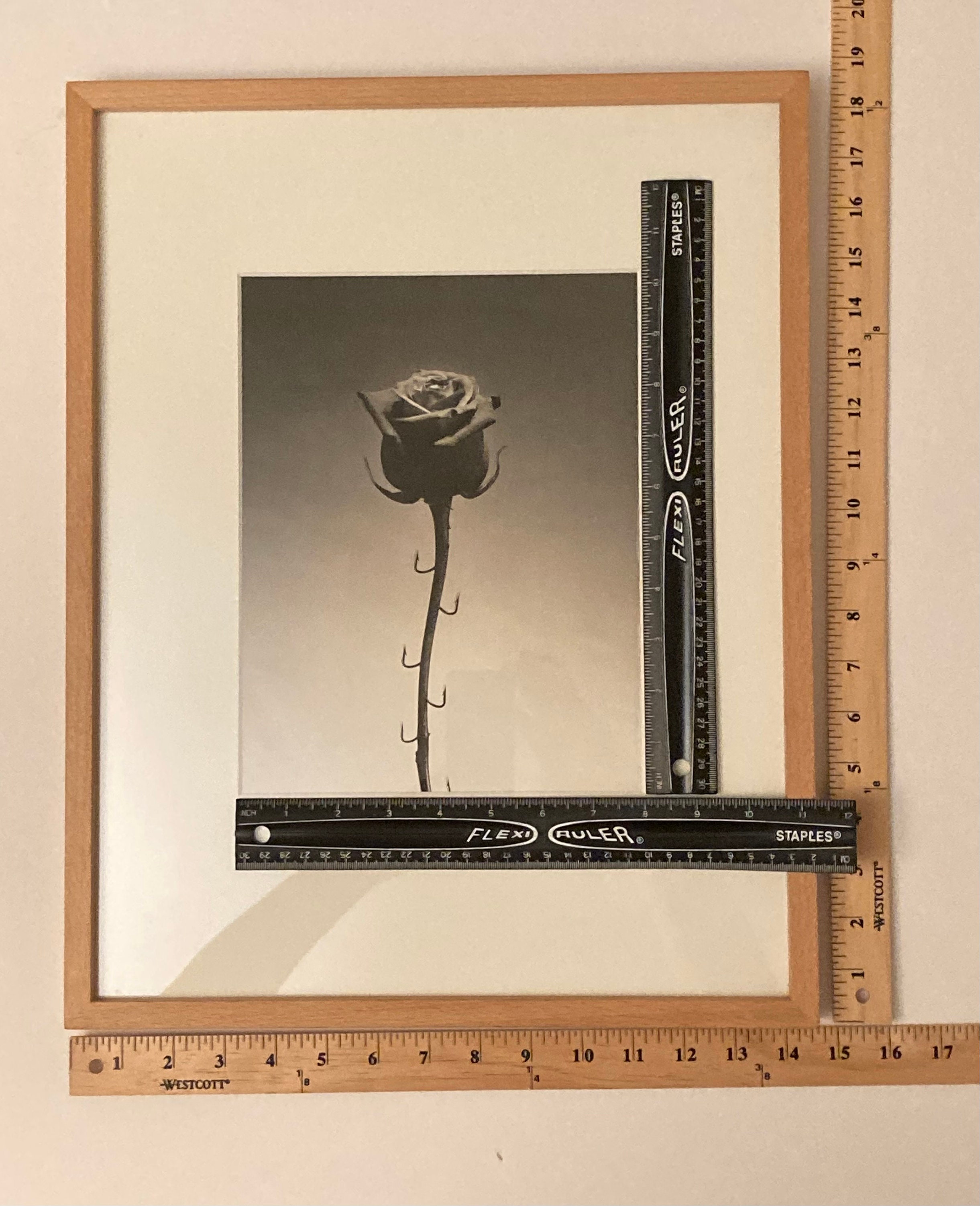 CHEMA MADOZ - Spanish Surrealist Photographer 