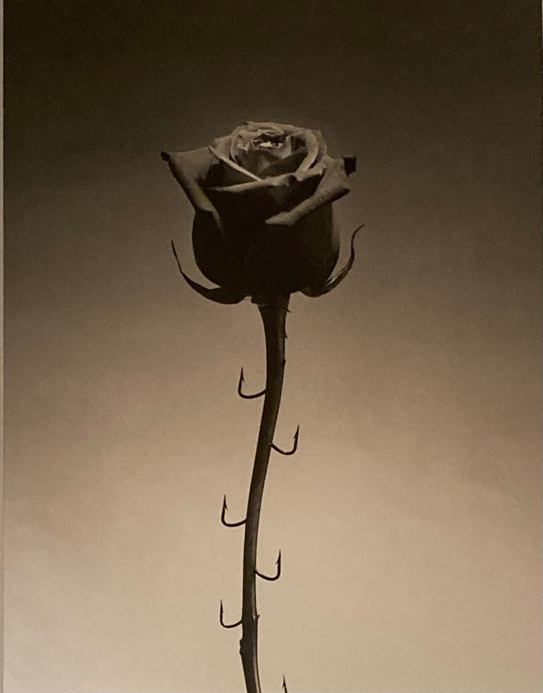 CHEMA MADOZ　チェマ・マドス CHEMA MADOZ チェマ・マドス Chema Madoz | Untitled (2006