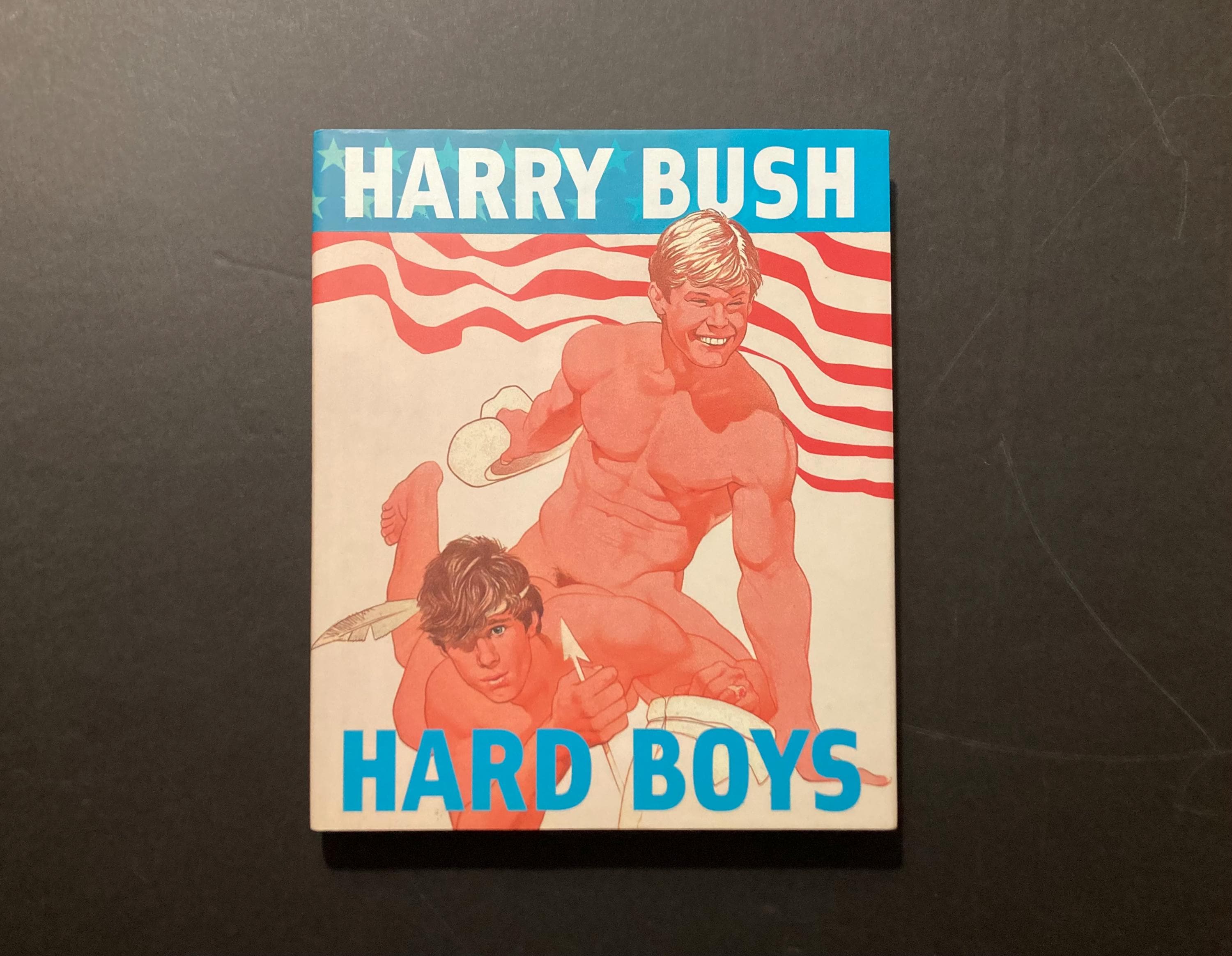 Harry Bush Art - Etsy
