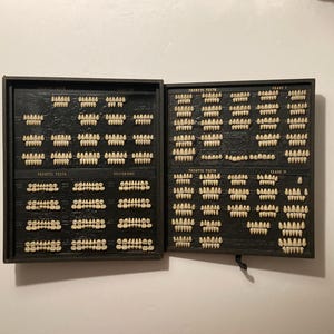 May include: A black wooden box with a hinged lid containing a collection of plastic teeth samples. The teeth are organized into categories labeled "Front Teeth", "Posterior", "Third Teeth", "Class I", and "Class II".