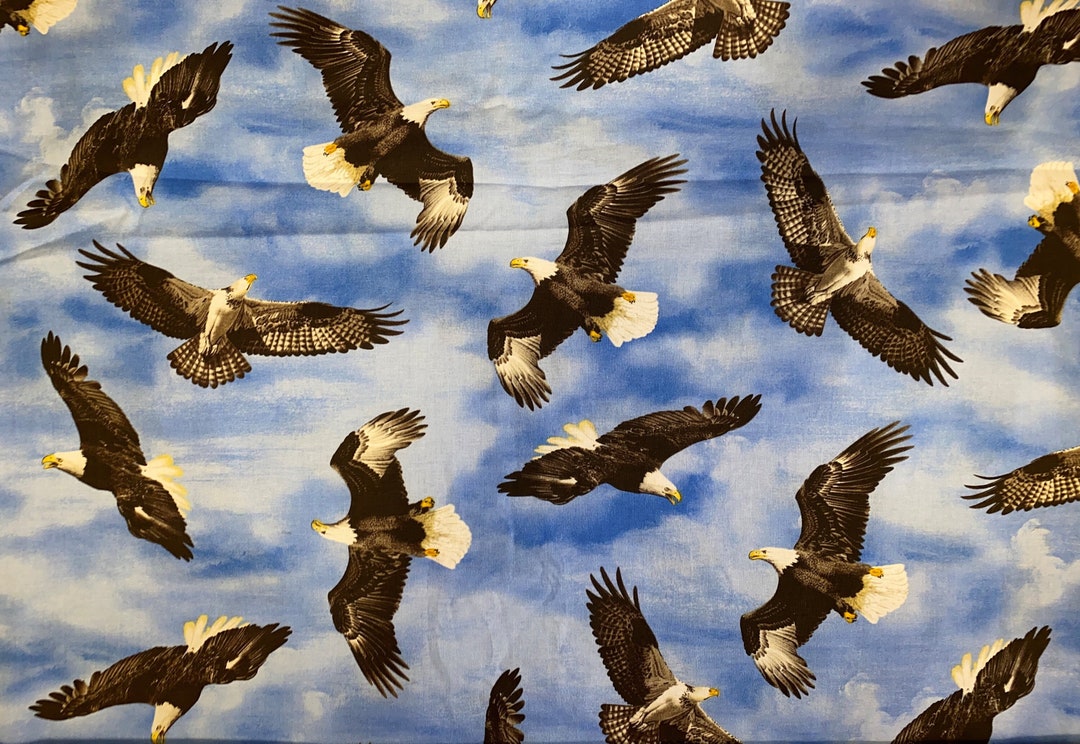 Eagle Fabric Soaring Sky Cotton Quilting Crafting Sewing Fabric Etsy