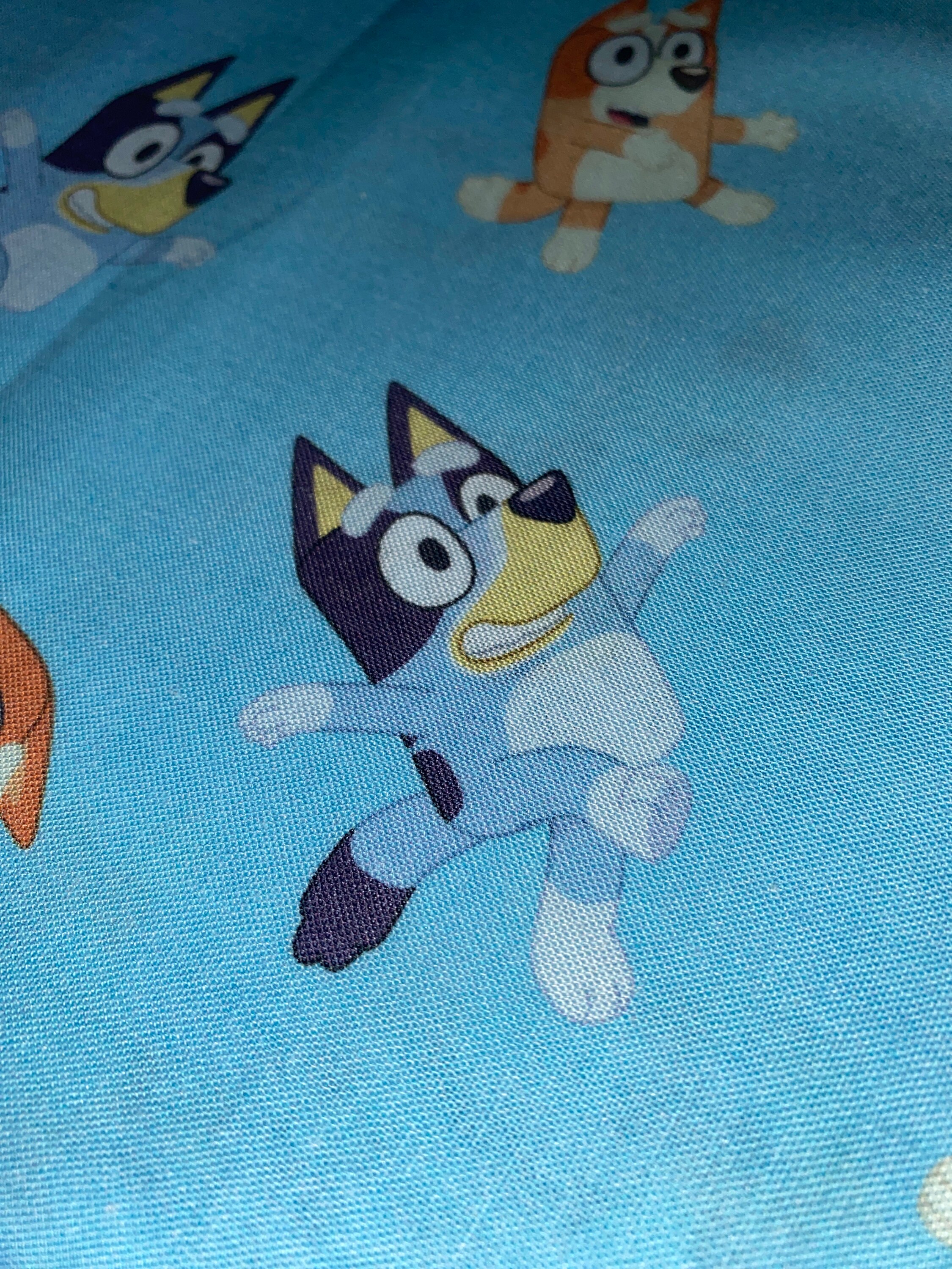Bluey Cartoon Fabric Kids Character Cotton Quilt Sewing Fabric - Etsy