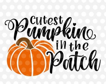 Könnte beinhalten: Ein schwarzes und oranges Grafikdesign mit dem Text "Cutest Pumpkin in the Patch" und einer Illustration einer orangefarbenen Kürbis.