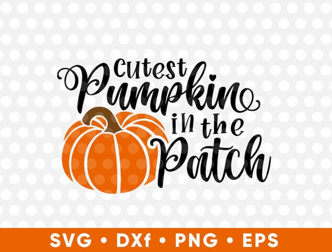 Cutest Pumpkin in the Patch SVG Thanksgiving Halloween Pumpkin - Etsy
