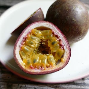 2-Pack Combo Passionfruit (Purple Possom and Giant Granadilla) Tropical Fruit Vine - Passionfruit Vine - Edible - Hardy - Fast Growing