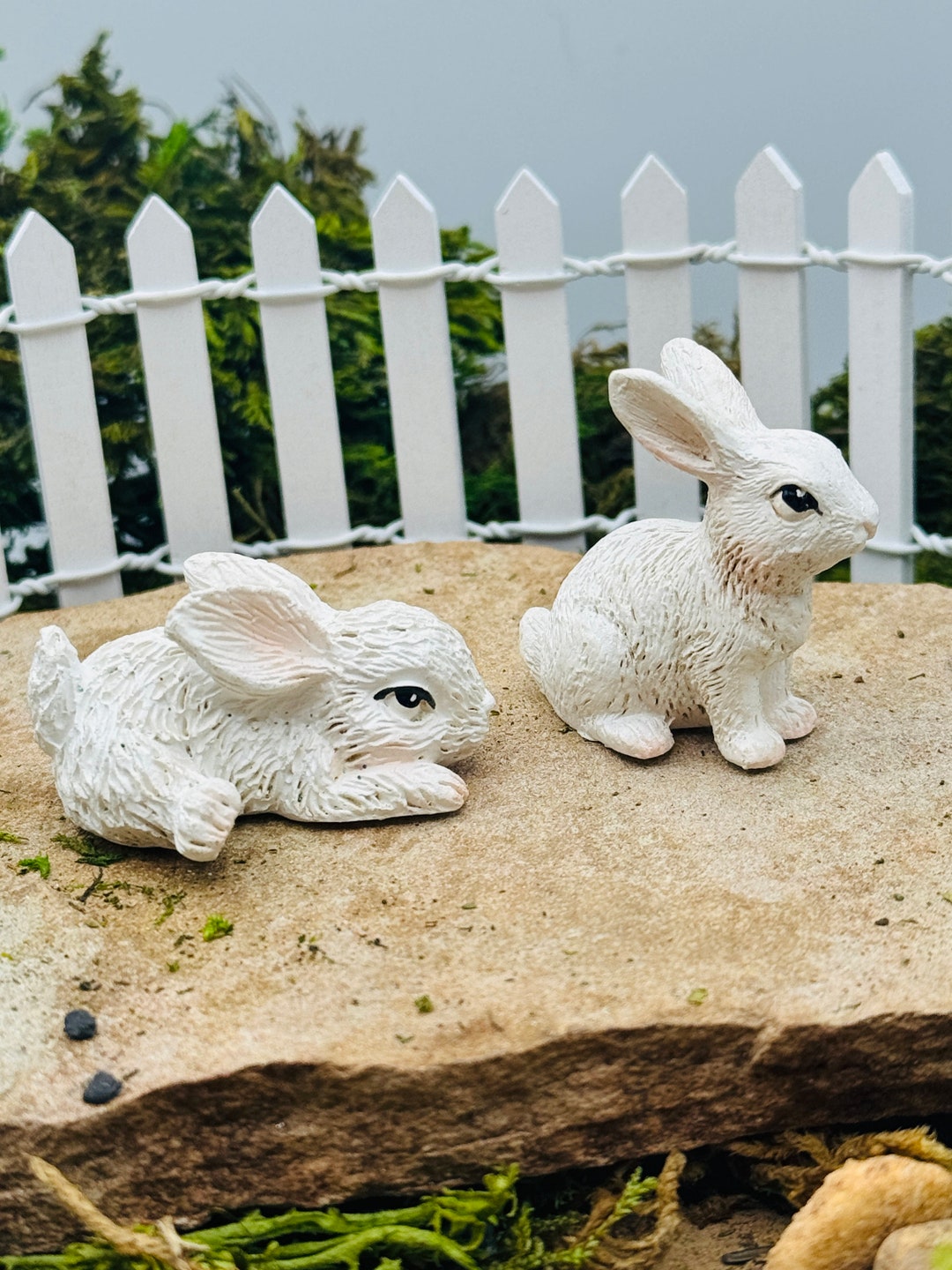 Coniglietto bianco in miniatura con piccone ~ Giardino delle