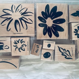 Stampin' Up Stempel zum Karten machen Papier Basteln Blumen feminin kreativ Gänseblümchen Frühling Postkarte Briefumschlag