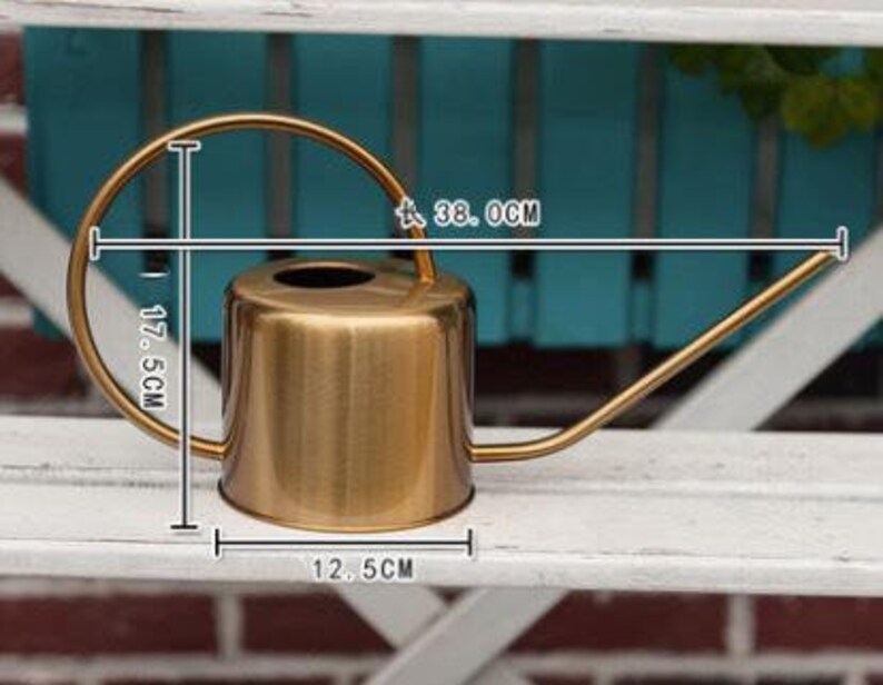 Gold Watering Can Flower Watering Pitcher Gardening Gift Etsy